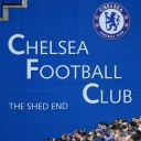 تصویر Ali Ghazi