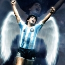 تصویر آلبی سلسته