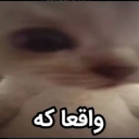 تصویر مقام معلق ‌