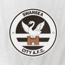 تصویر Swansea City