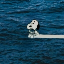 تصویر ‌‌فارا ‌