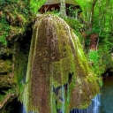 تصویر آرین روبن