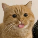 تصویر . Andrea the Italian