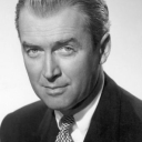 تصویر شاهین .