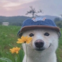 تصویر ʀᴇᴅ ᴡɪɴᴇ ‌‌