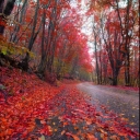 تصویر nature good