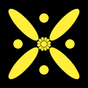 تصویر Amin ❤️🦁💚