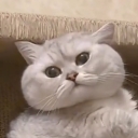 تصویر 𝙼𝙾𝙷𝙰𝙼𝙰𝙳 𝙹𝙰𝚅𝙰𝙳 ‌