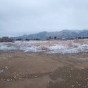 تصویر همشهری آنلاین