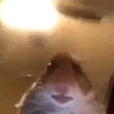 تصویر CHA卐S ‌