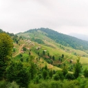 تصویر Ali Talesh