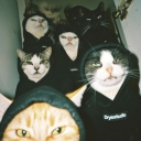 تصویر Wjwgwbehbeb Konsbab