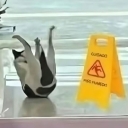 تصویر آقای ممفیس ‌‌