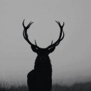 تصویر Dark ‌‌‌ ‌‌