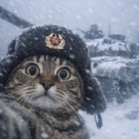 تصویر Félix ‌