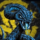 تصویر nabi INTER