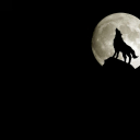تصویر Wolf &amp;moon