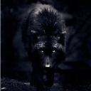 تصویر Black Wolf