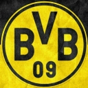 تصویر Bardia BVB