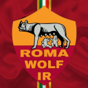 تصویر ROMA WOLF.IR