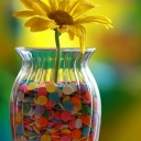 تصویر پسرک غصه گو