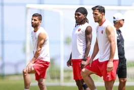 تیوی بیفوما- پرسپولیس