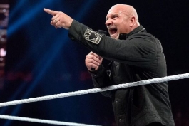 گلدبرگ در سال 2018 به تالار مشاهیر WWE اضافه شد