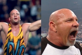 بیل گلدبرگ و راب ون دام، ستارگان کشتی کج و WWE