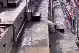 سیل نیوکمپ را برد