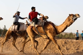 عکس از شترسواری در ایران