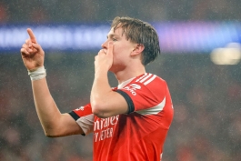 شیلدروپ، بازیکن بنفیکا