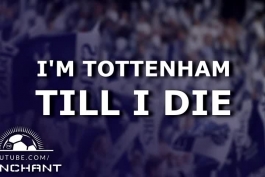 Tottenham Till I Die