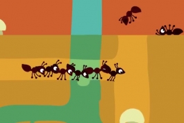 انیمیشن کوتاه مورچه | یک کار تیمی فوق العاده با بیش از 30 میلیون مشاهده در یوتیوب 👌