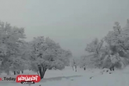 زیبایی برف در دشت برم استان فارس!