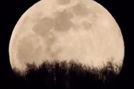 ویدیوی تصویر بردار مقدونیه‌ای از اَبَر ماه هفتم آپریل (١٩ فروردین)