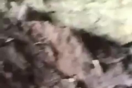 مادران شنبه در ترکیه که سالهاست دنبال خبری از عزیزان مفقود شده خود هستند