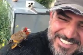 پرنده خوش آواز و بی پروا(ببینید باحاله)