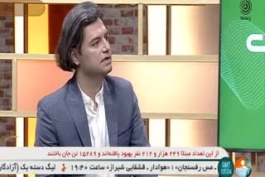 در اقدامی عجیب مهمان برنامه شبکه خبر دلار را پاره کرد