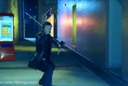 مبارزه دانی ین و وو جینگ در فیلم منطقه قتل 2005