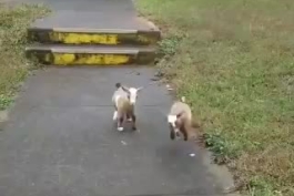 تو این روزهای پردغدغه و خسته کننده دلم یه سرخوشی این طوری می خواد. فقط اون دومیه:))