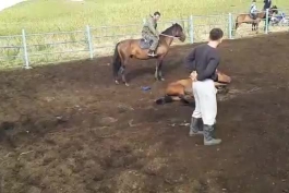 اهلی کردن اسب به سبک قزاق ها