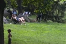 دوربین مخفی - گو.یدن مرد جوان به روی سگها در سنترال پارک نیویورک😂😂