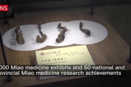 نگاهی به موزه دستاوردهای طب سنتی چین در دانشگاه «گویژو» ؛موزه پزشکی «میائو» در دانشگاه طب سنتی چینی در شهر «گویی یانگ» در مساحتی معادل 4500 متر مربع بیش از 100 هزار نمونه زیستی را به نمایش گذاشته است