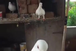 😘😘😘😗😙😚😗😙😙😙