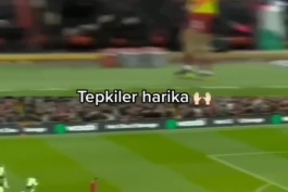 وقتی دوربین در موقعیت مناسب، میره روی گزینه مناسب 👏