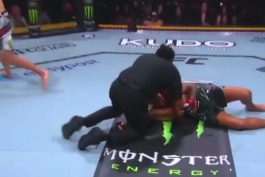 گیچی BMF جدید یو اف سی شد