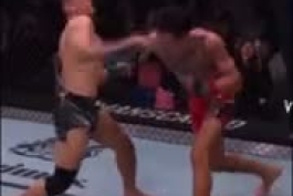 UFC/ مکس هالووی موفق شد زامبی کره‌ای را ناک‌اوت‌ کند (ویدئو)