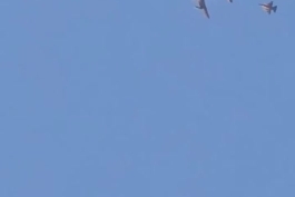 💥 جنگنده F-16 اسرائیلی در حال سوخت‌گیری هوایی بر فراز استان دیرالزور سوریه پس از بازگشت از حمله هوایی به ایران 