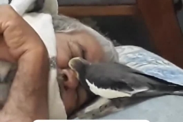 چه خوبه ادم اینطوری بیدار بشه
