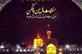 شهادت‌ امام رضا(ع) تسلیت باد 🖤